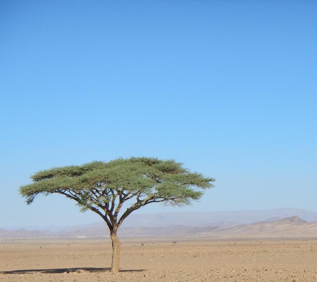 Paradis Touareg Zagora Exterior photo